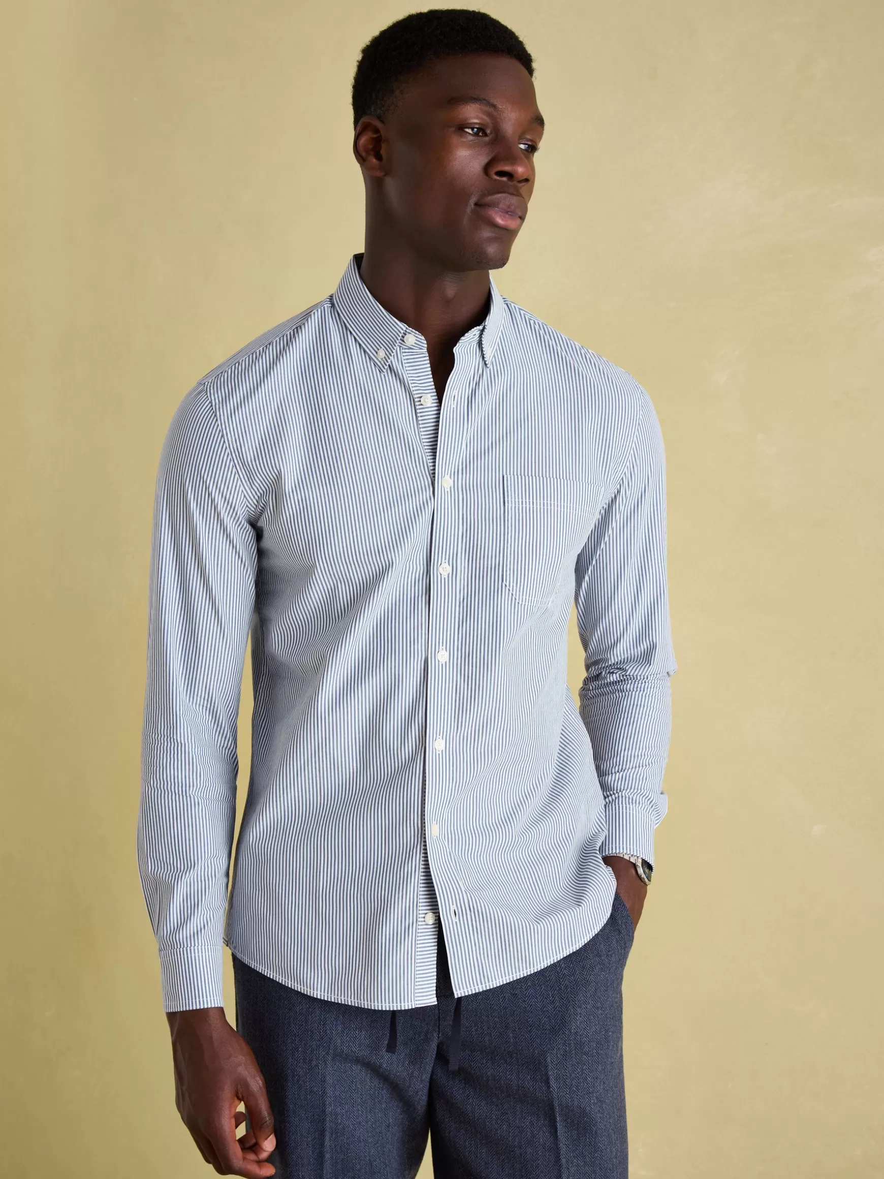 Abbott Blue Pinstriped Cotton Poplin Shirt^Joules Cheap
