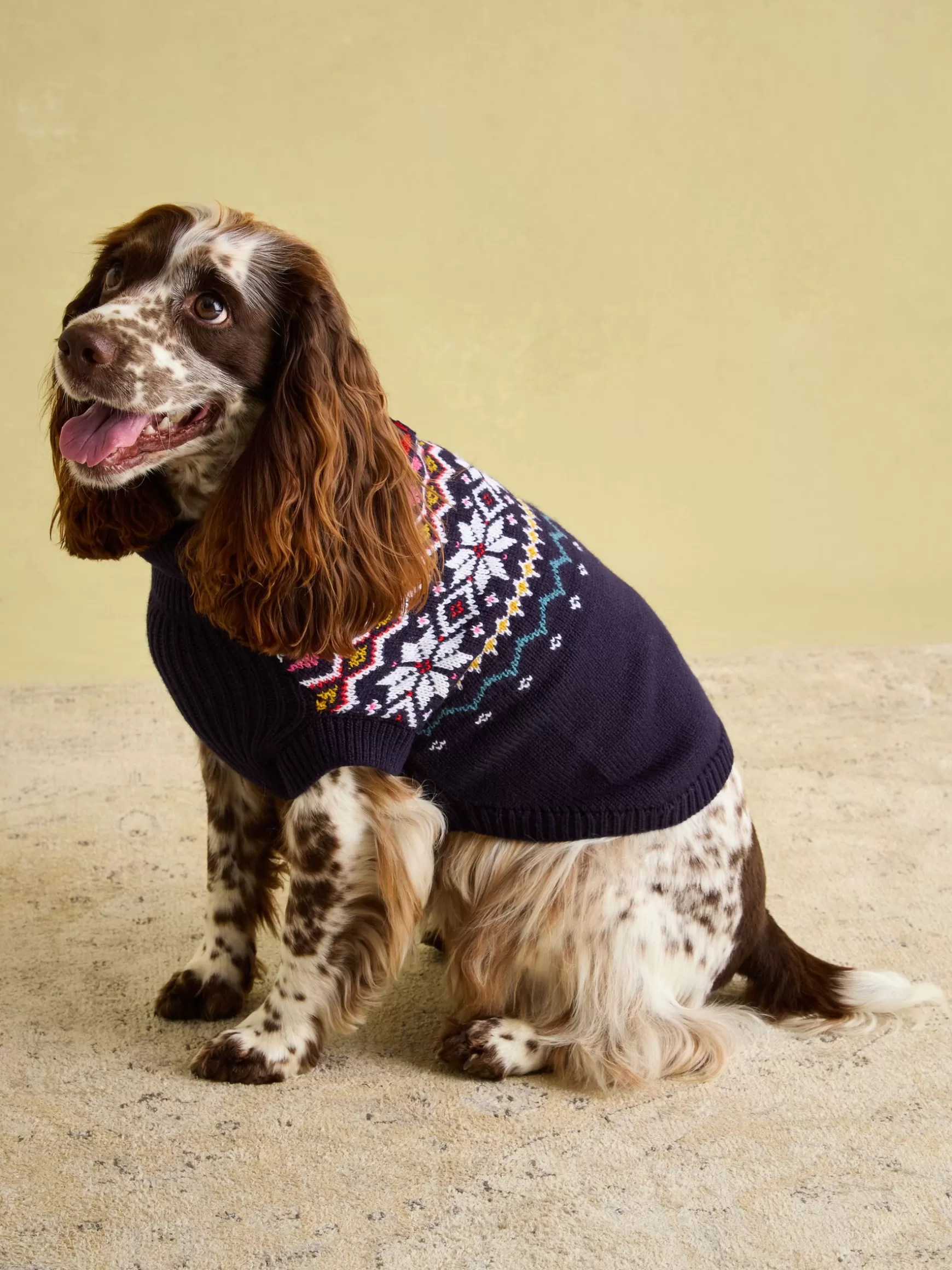 Alba Knitted Fair Isle Dog Jumper^Joules Cheap