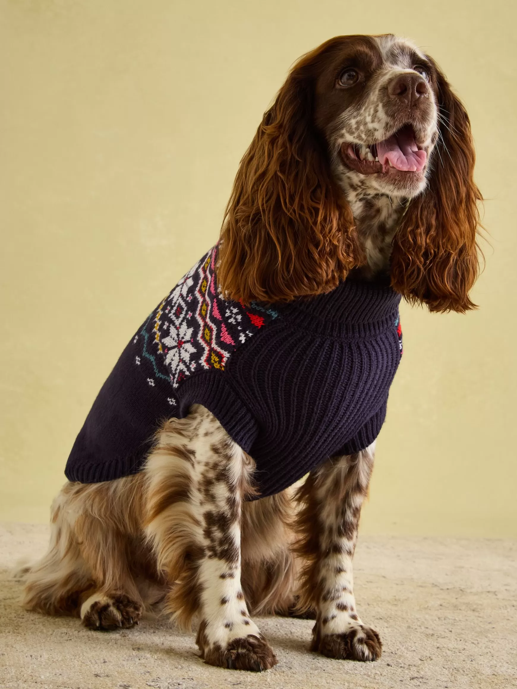 Alba Knitted Fair Isle Dog Jumper^Joules Cheap