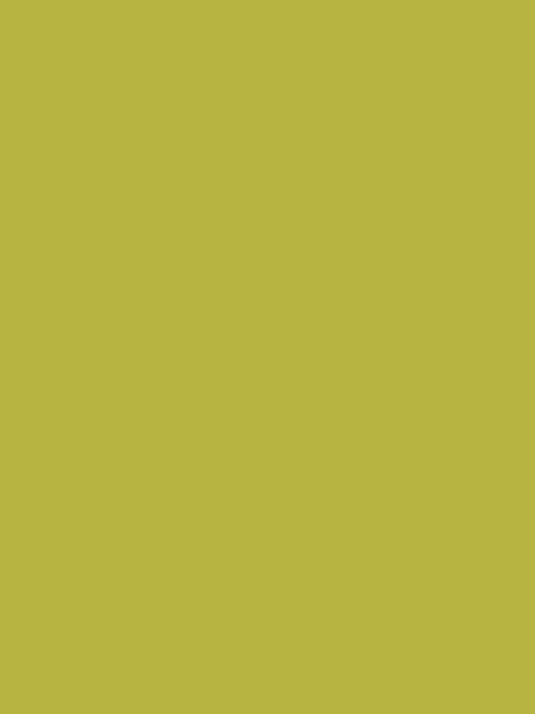 Beckett's Gold Multi Surface Matt Emulsion^Joules Cheap