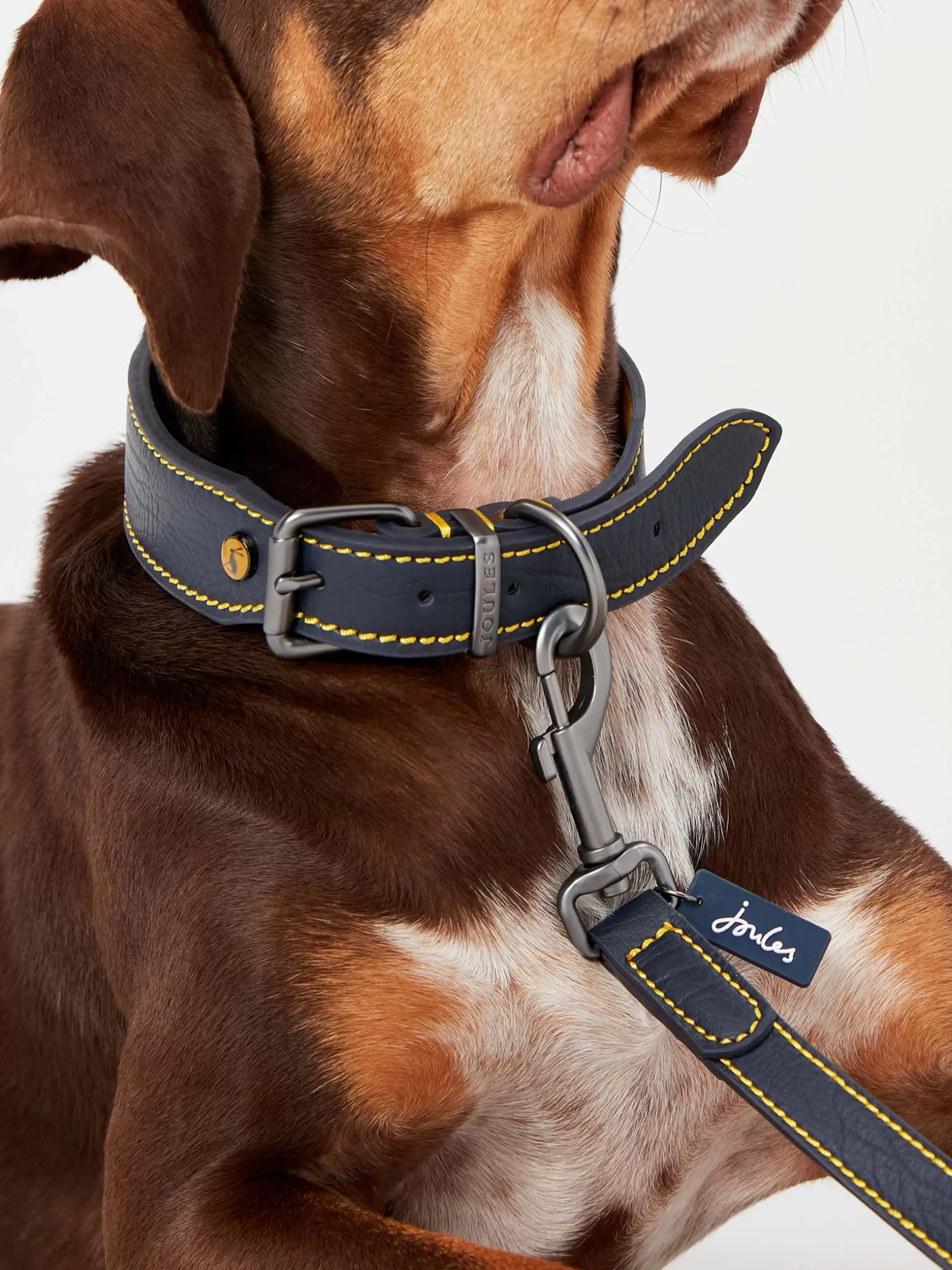 Adjustable Leather Dog Collar^Joules Cheap