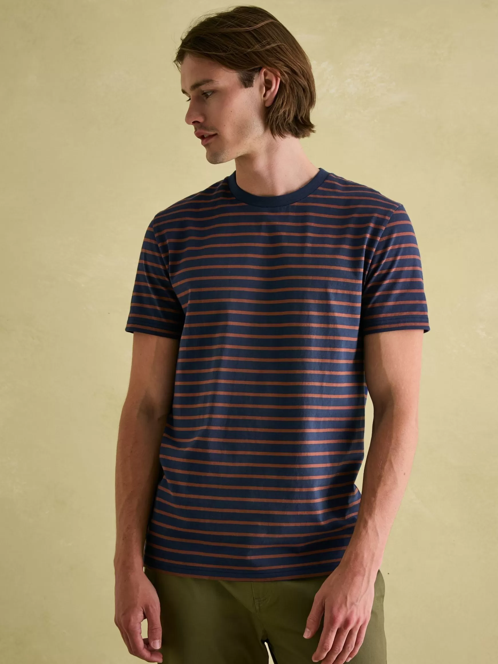 Boathouse Brown & Navy Jersey Crew Neck T-Shirt^Joules Cheap