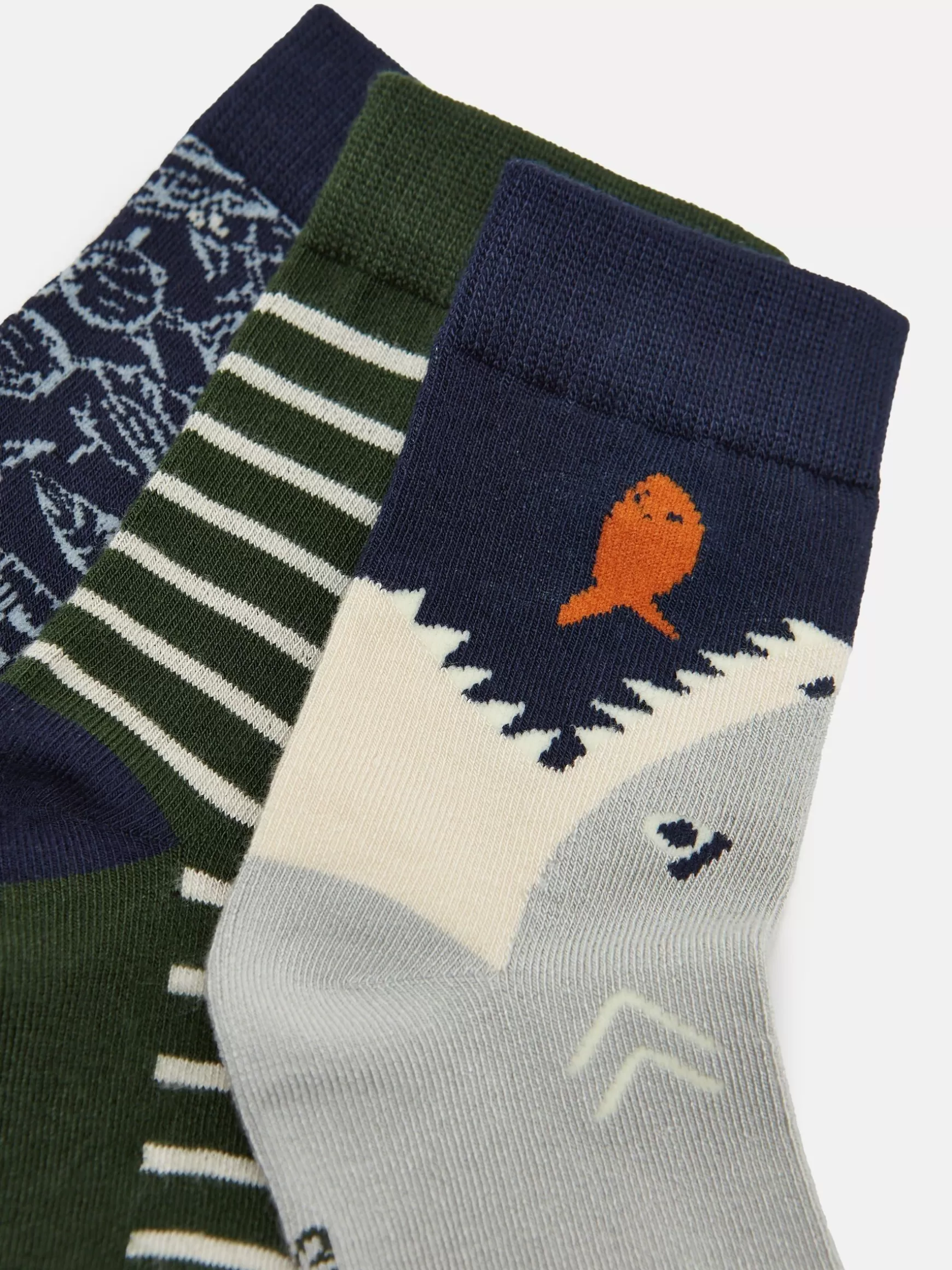 Boys' Neat Feet 3 Pack Socks^Joules Hot