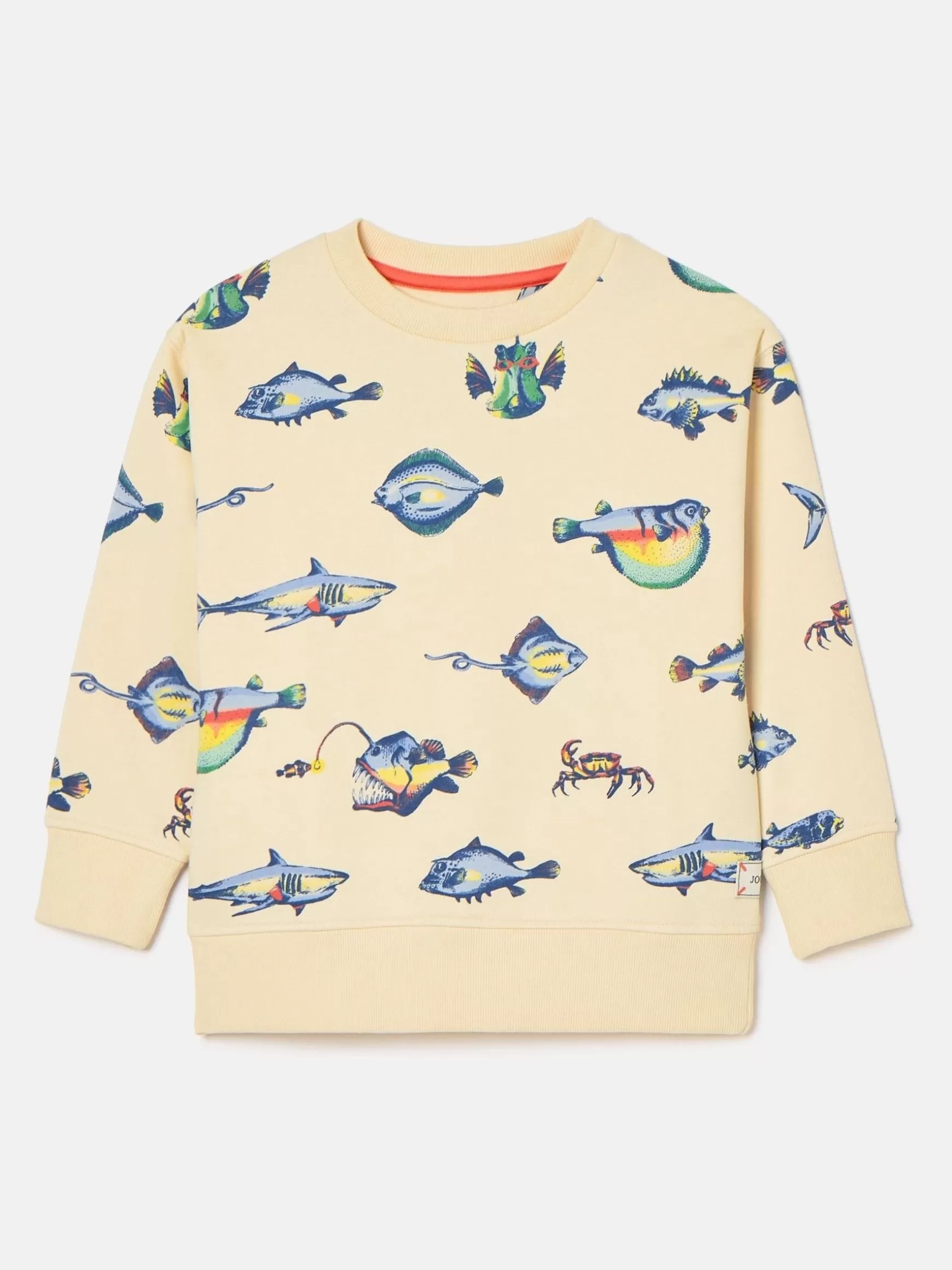 Boys' Sea Air Printed Sweatshirt^Joules Clearance