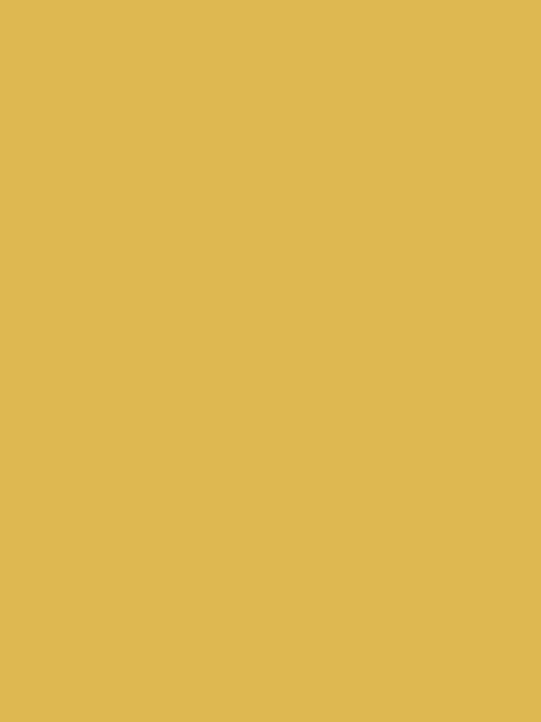 Brolley Yellow Multi Surface Matt Emulsion^Joules Store