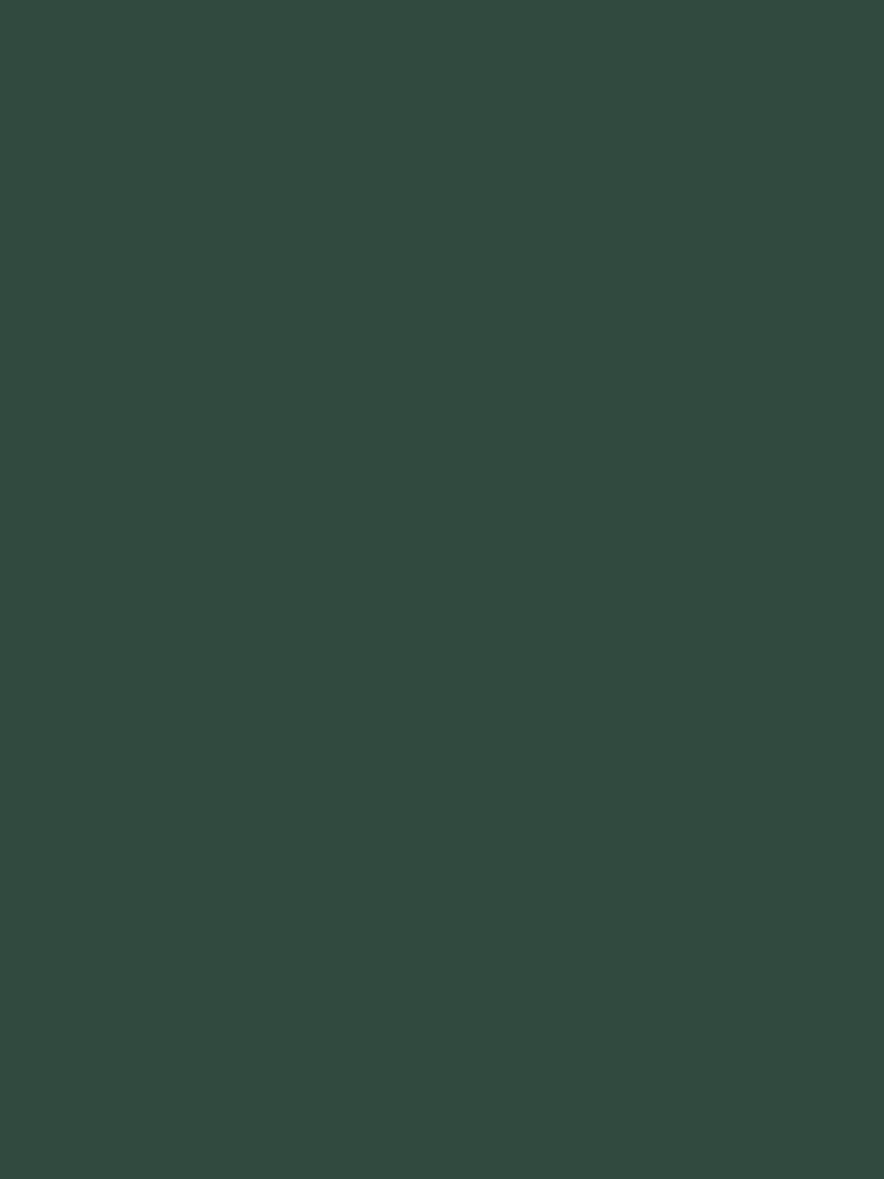Canal Mallard Green Multi Surface Matt Emulsion^Joules Sale
