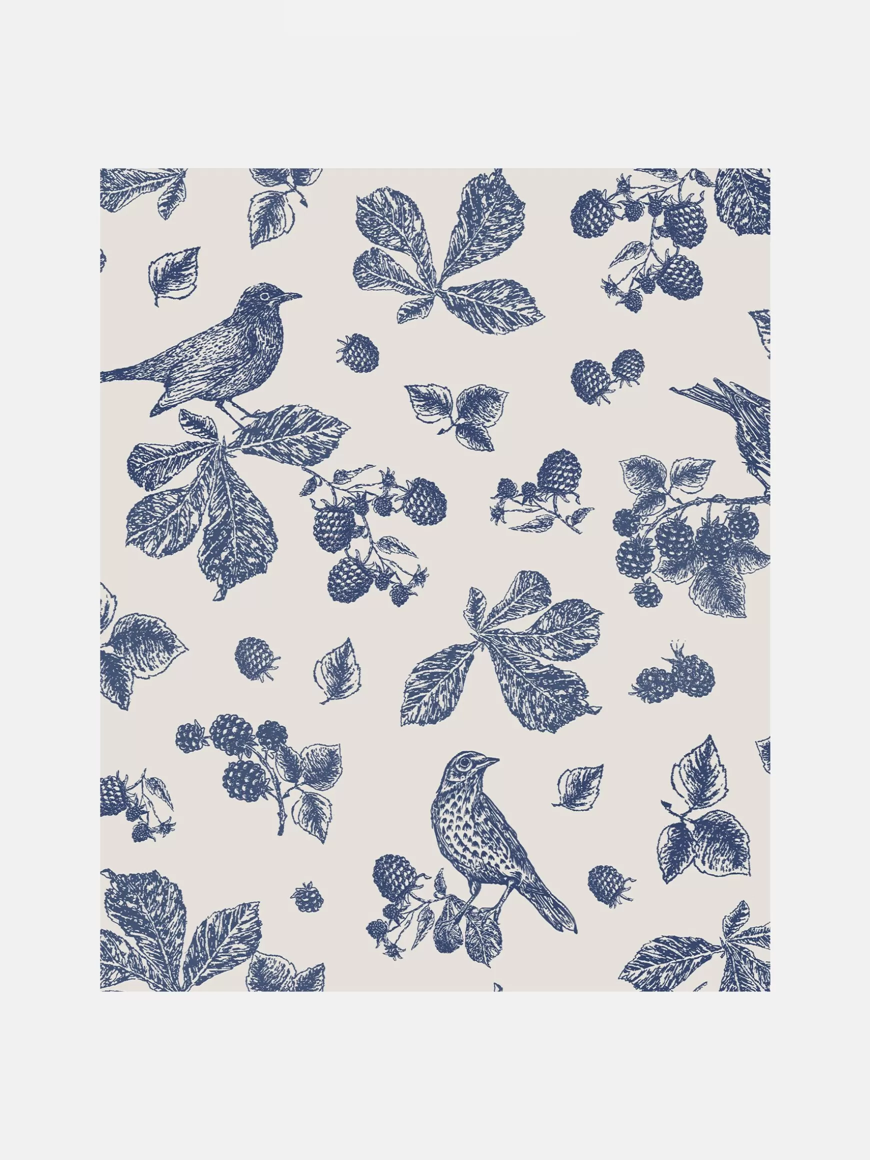 Blackberry Bird 10M Wallpaper^Joules Fashion