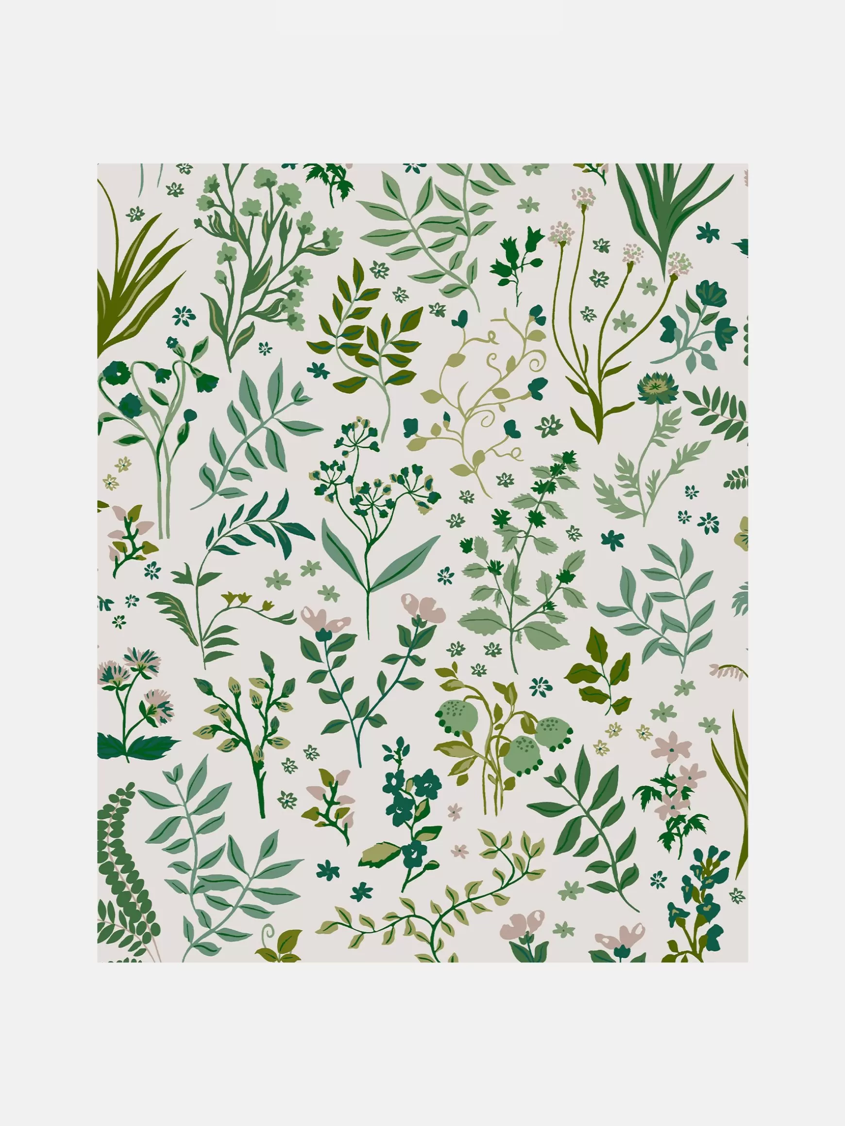 Holcombe Floral 10M Wallpaper^Joules Shop