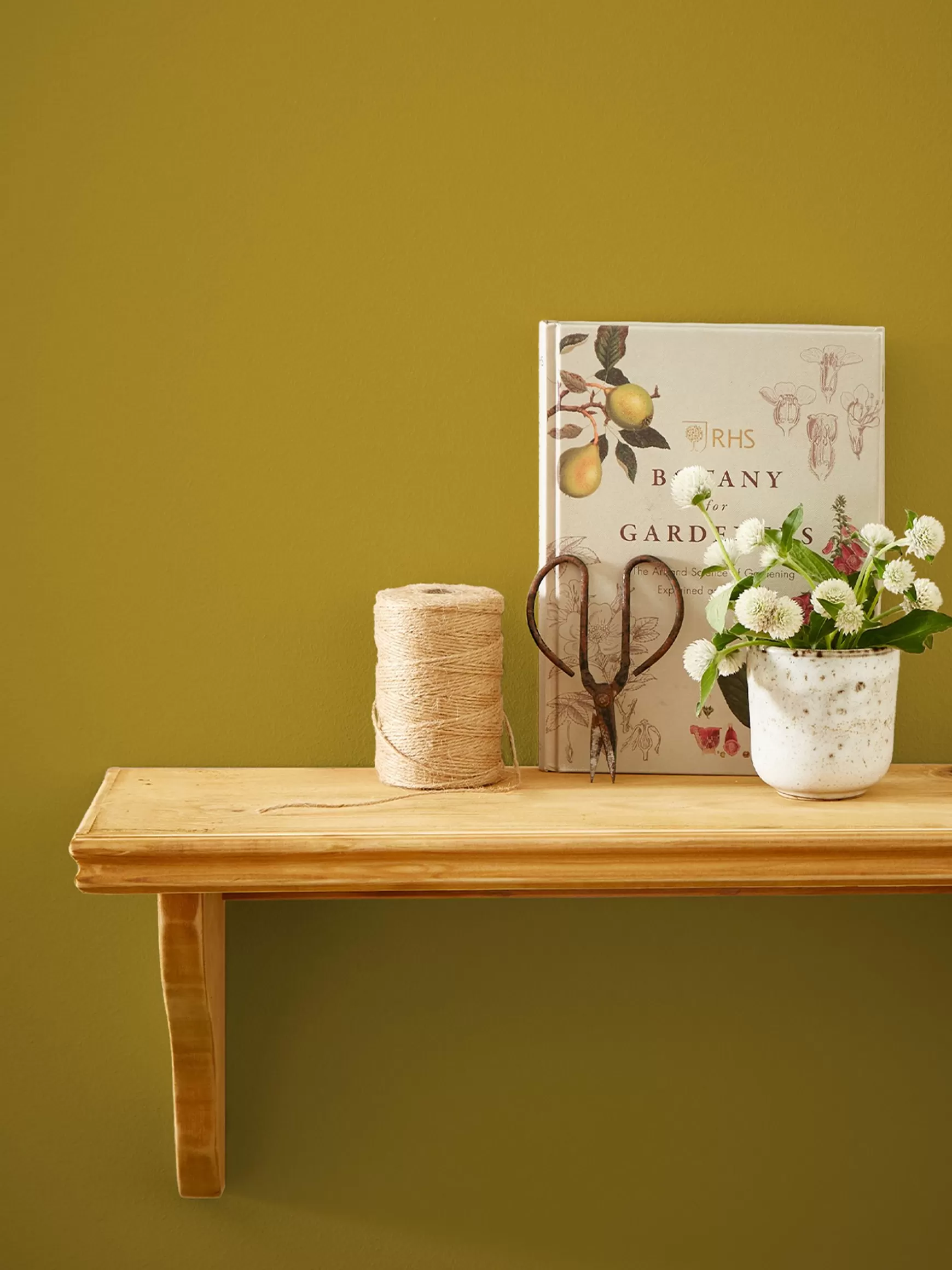 Day Trip Golden Yellow Multi Surface Matt Emulsion^Joules Fashion