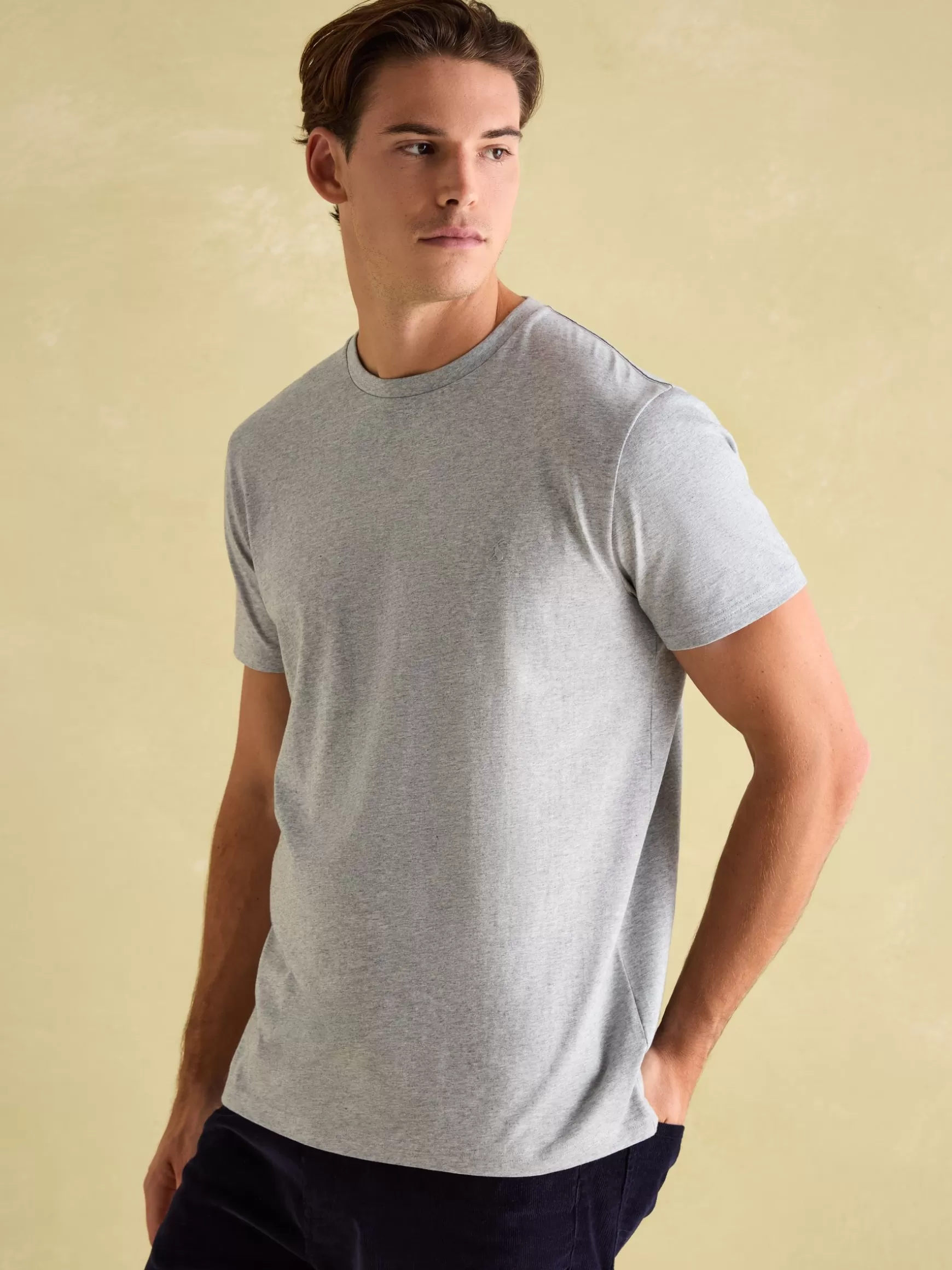 Denton Lightweight Jersey 100% Cotton Crew Neck T-Shirt^Joules New