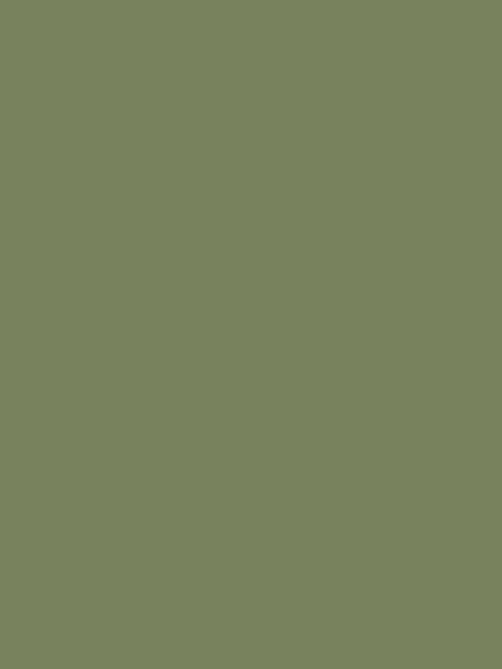 Fields Edge Green Multi Surface Matt Emulsion^Joules Outlet
