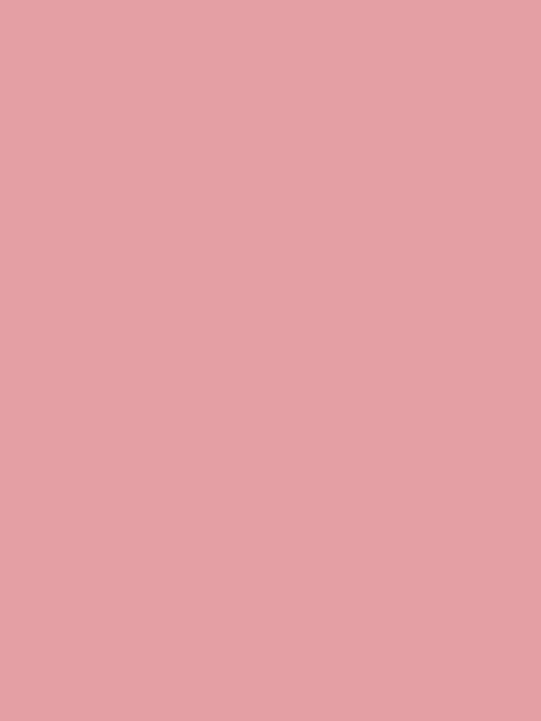 Flower Market Pink Multi Surface Matt Emulsion^Joules Sale