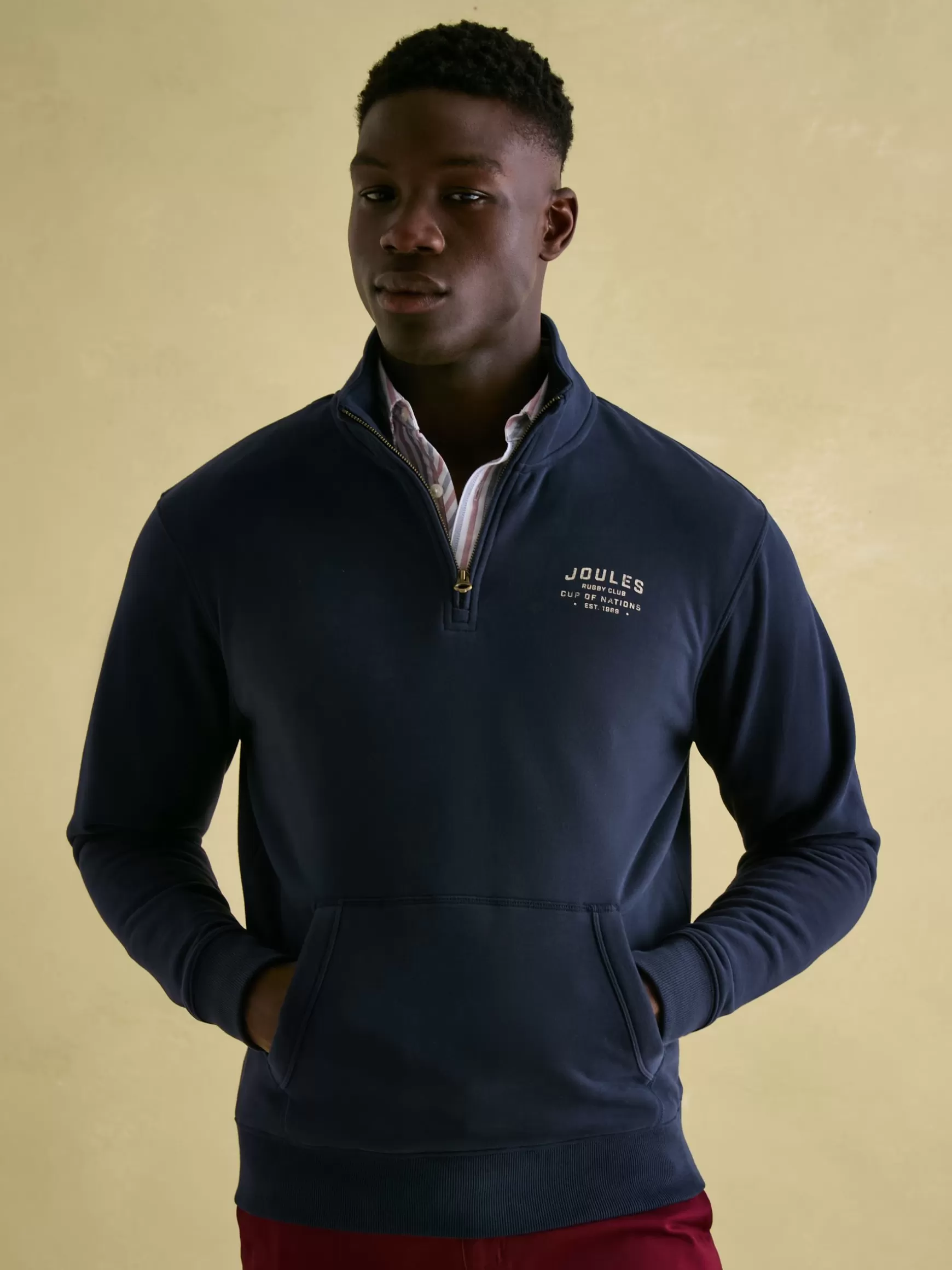 Jenkins Navy Blue Quarter Zip Graphic Sweatshirt^Joules Fashion