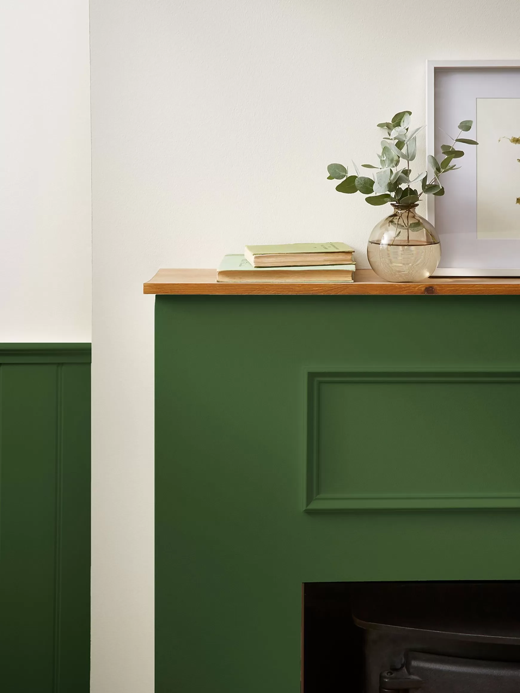 Peak Green Multi Surface Matt Emulsion^Joules Fashion