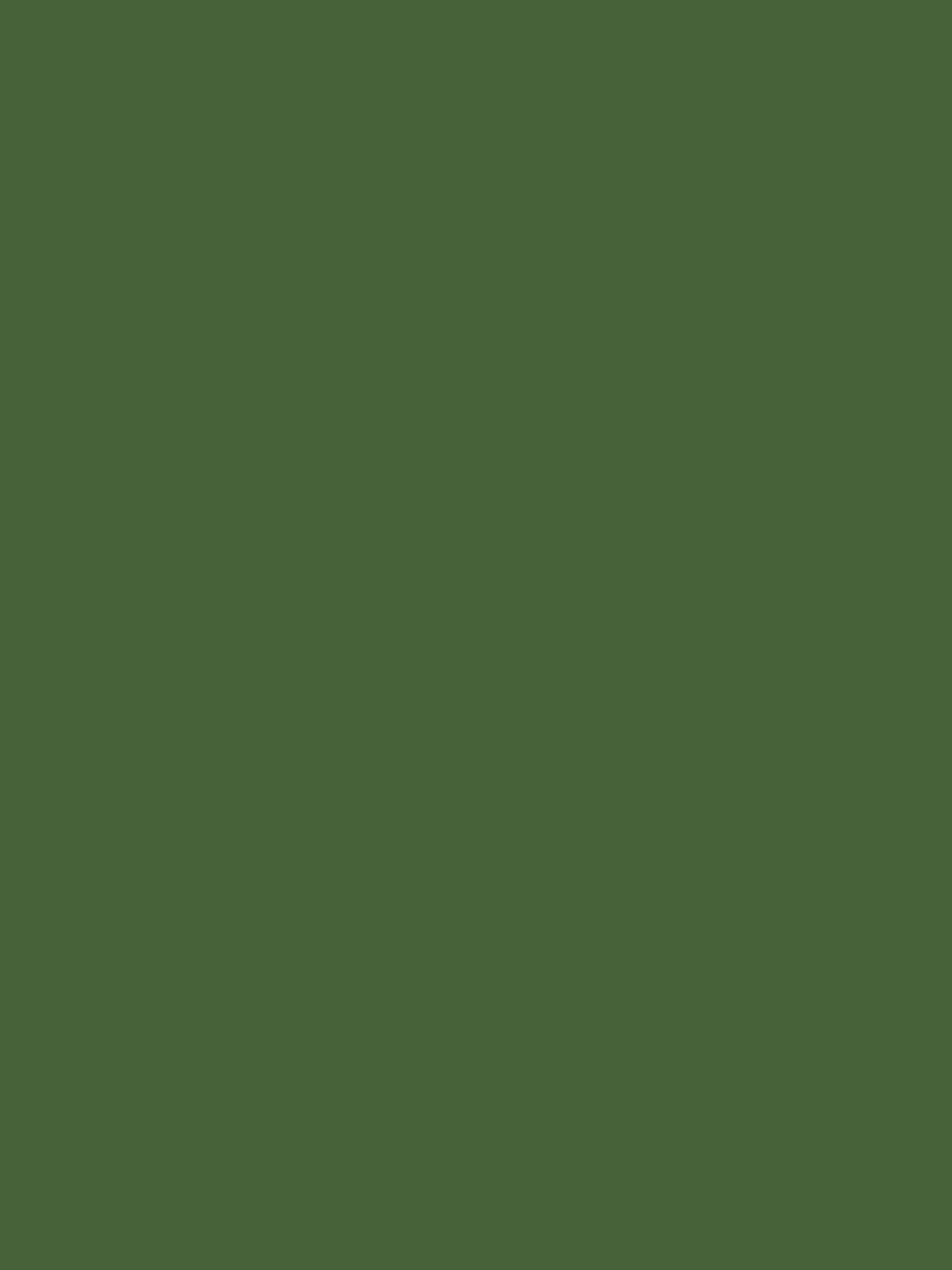 Peak Green Multi Surface Matt Emulsion^Joules Fashion
