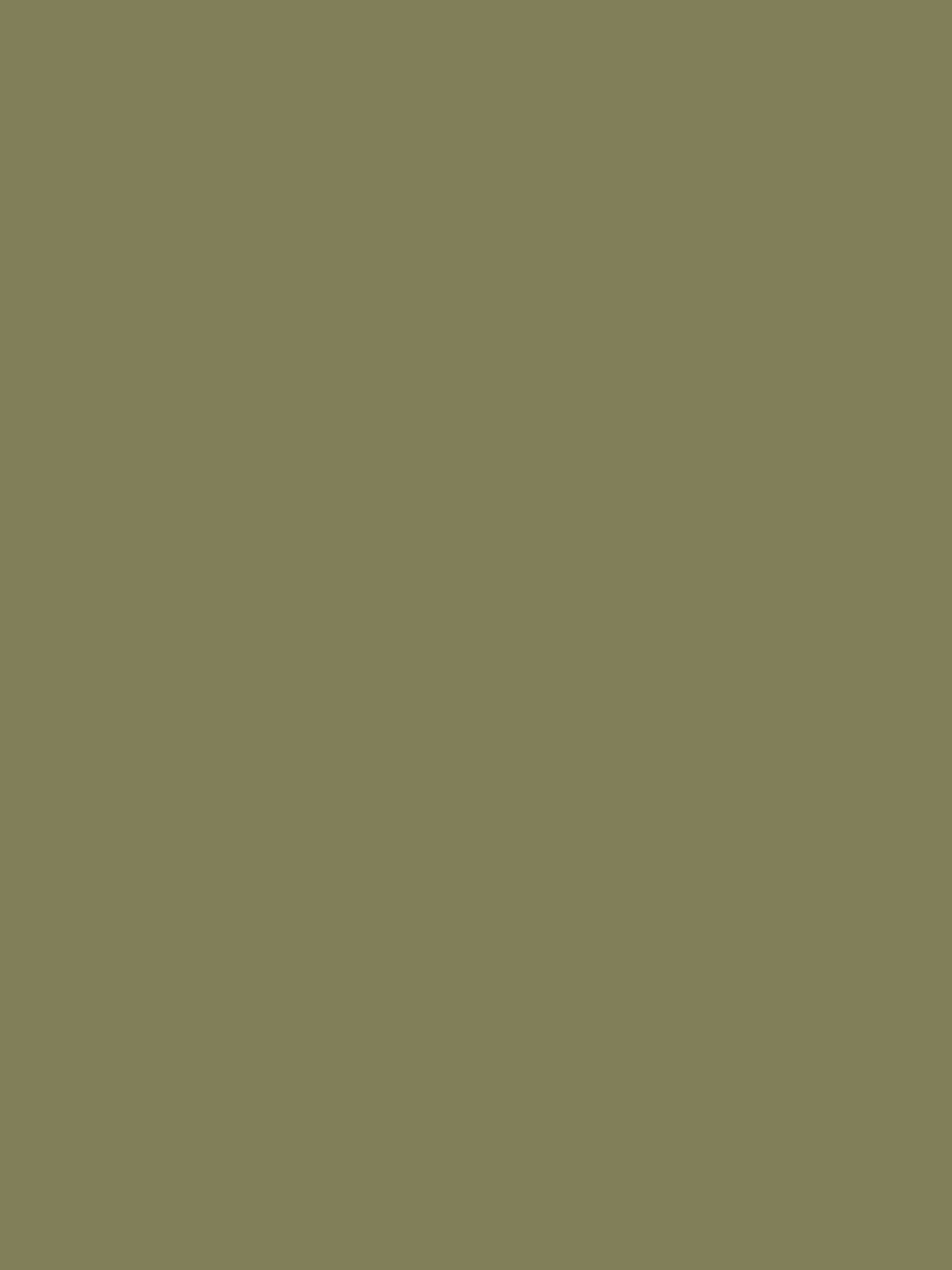 Picnic Blanket Green Multi Surface Matt Emulsion^Joules Store