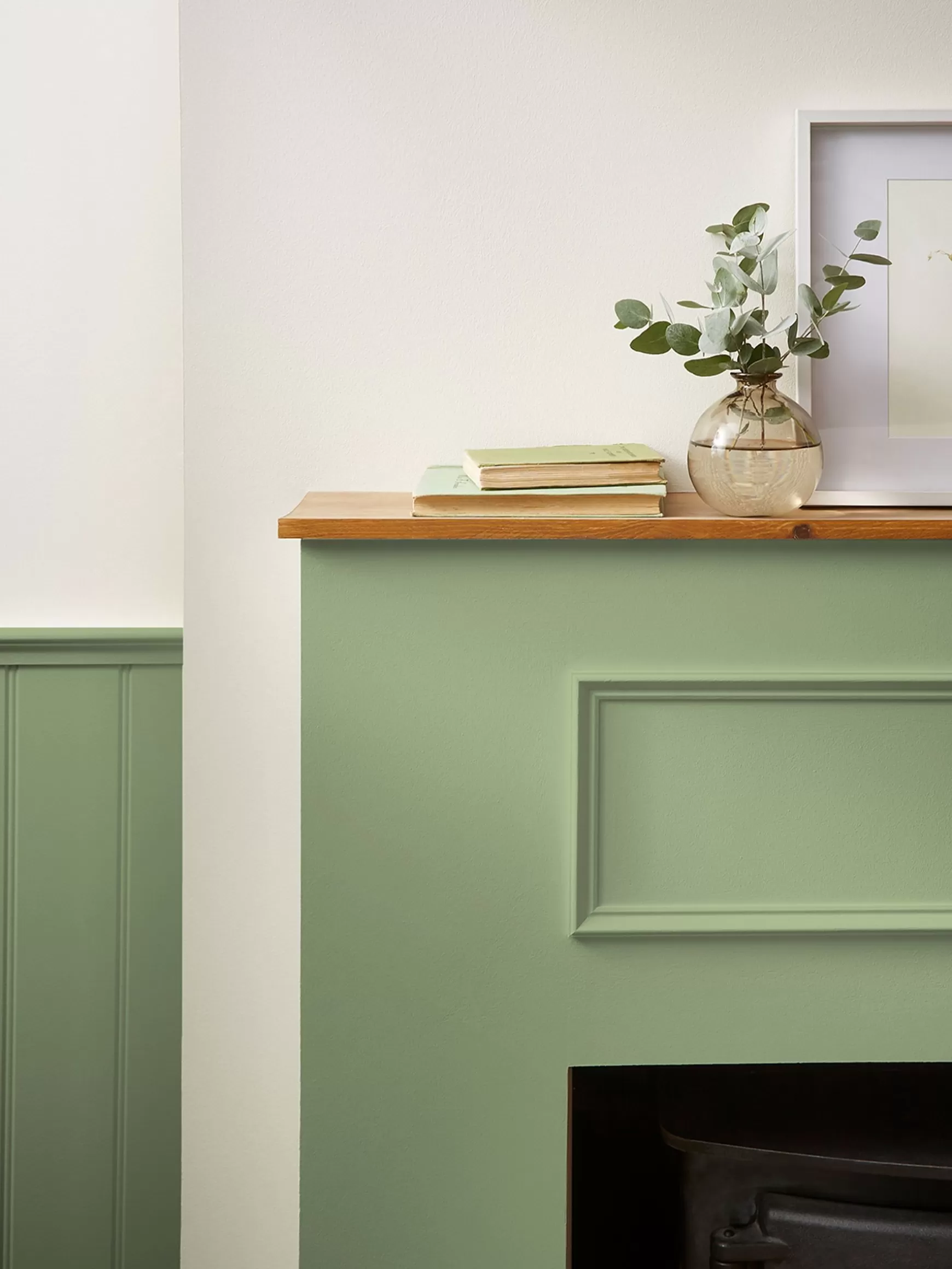 Swanton Novas Green Multi Surface Matt Emulsion^Joules Hot