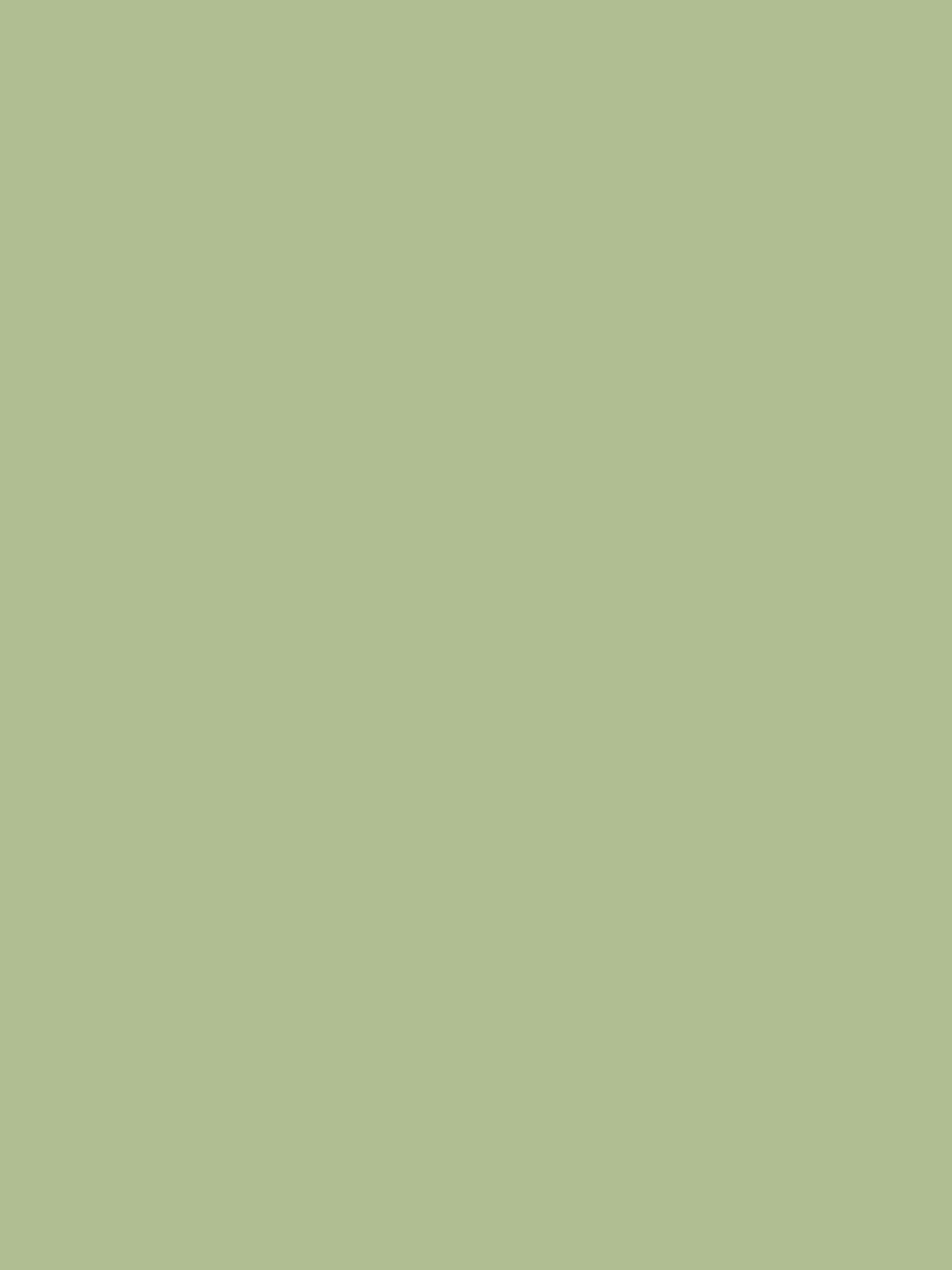 Swanton Novas Green Multi Surface Matt Emulsion^Joules Hot