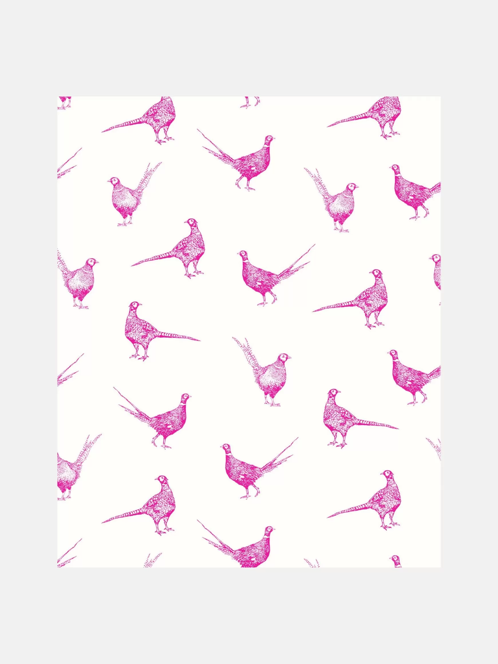 Truly Pink Flirty Pheasants 10M Wallpaper^Joules Cheap
