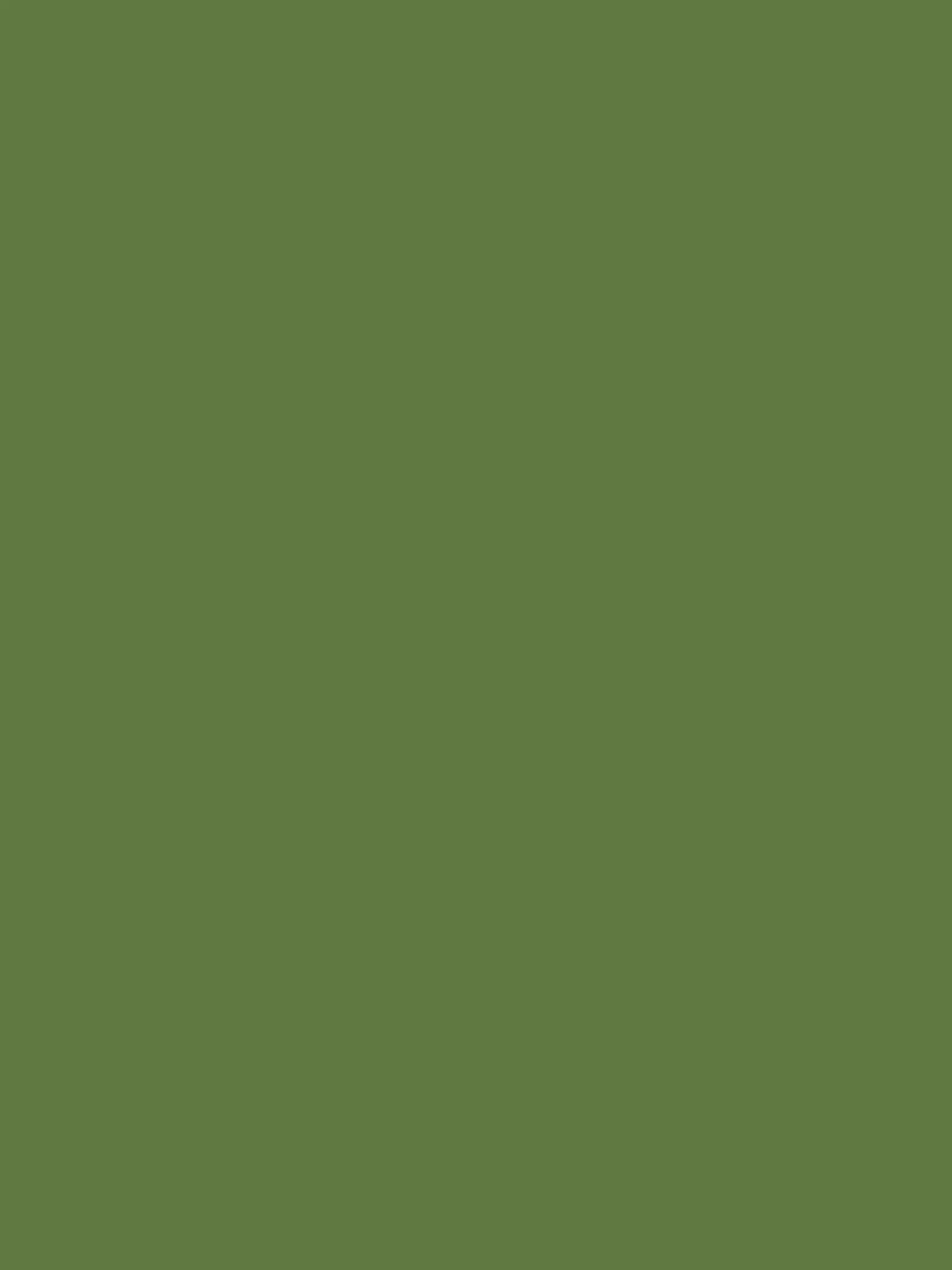Upper Bridge Green Multi Surface Matt Emulsion^Joules Best