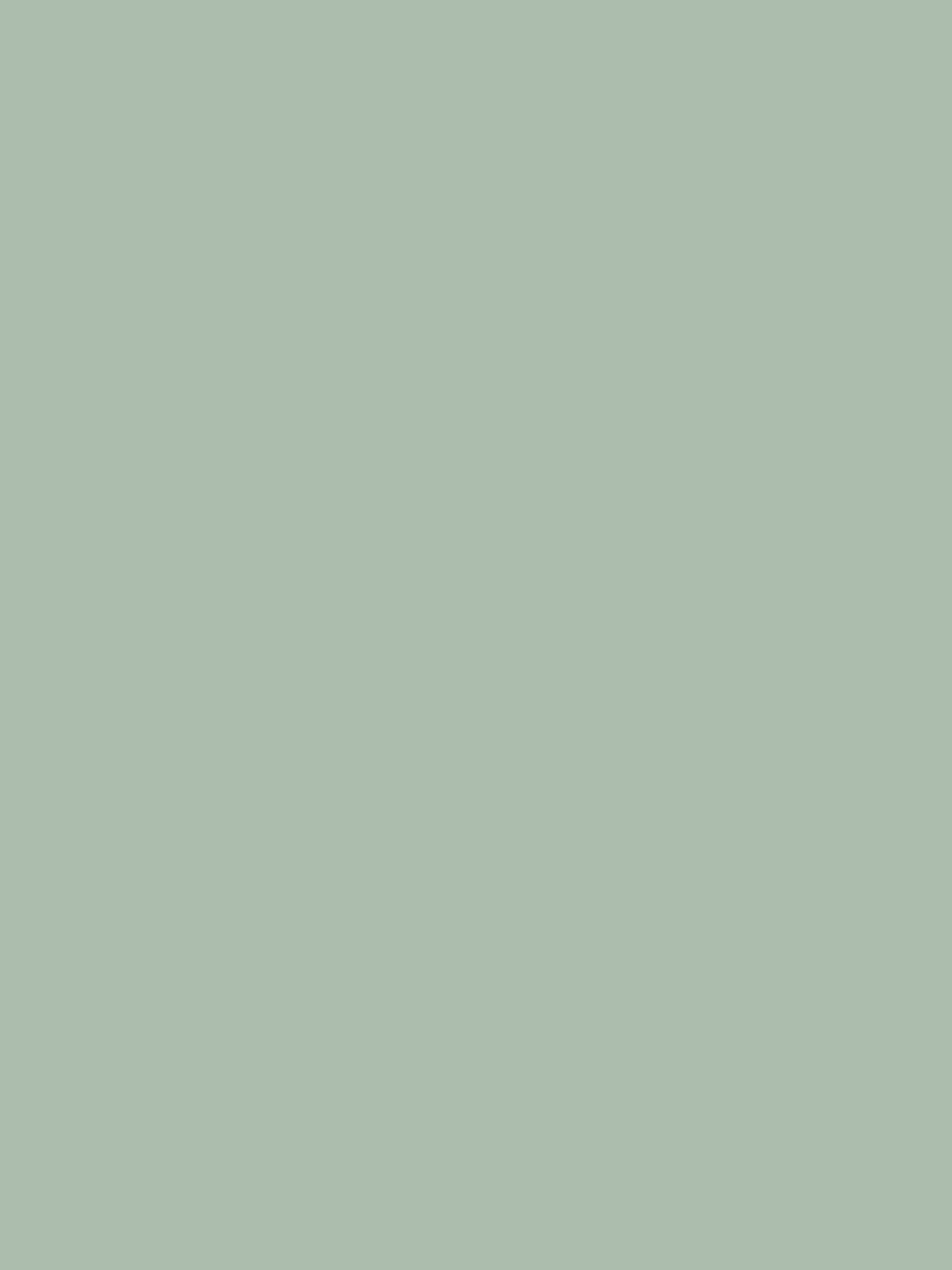 Village Store Green Multi Surface Matt Emulsion^Joules Sale