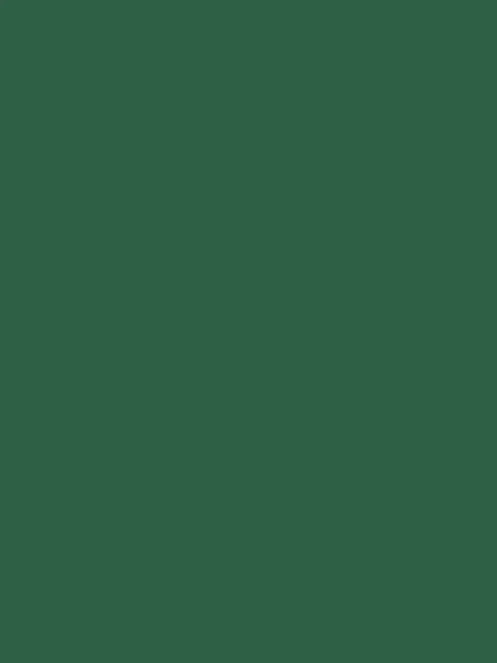 Wild Swim Green Surface Matt Emulsion^Joules Cheap