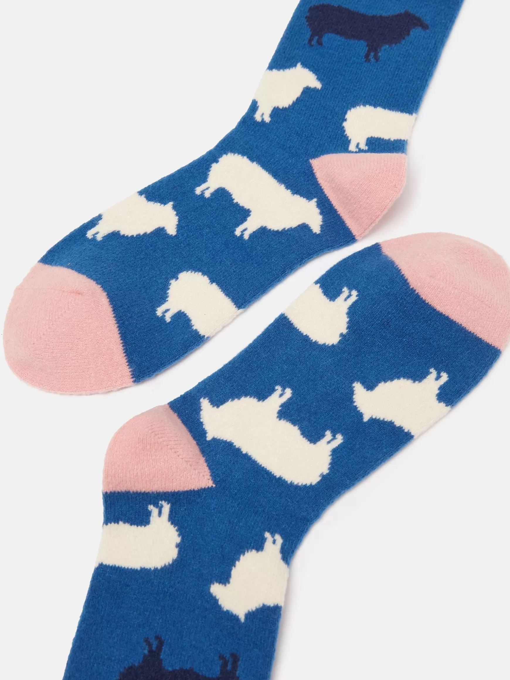 Women's Amble Icon Socks (size 4-8)^Joules Fashion