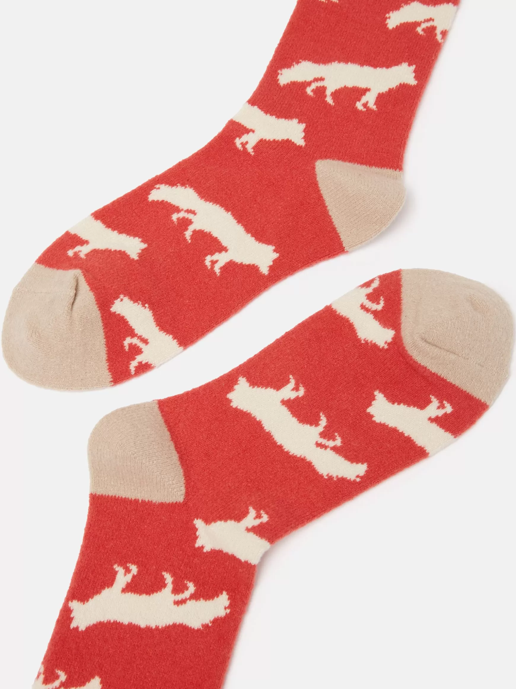Women's Amble Icon Socks (size 4-8)^Joules Sale