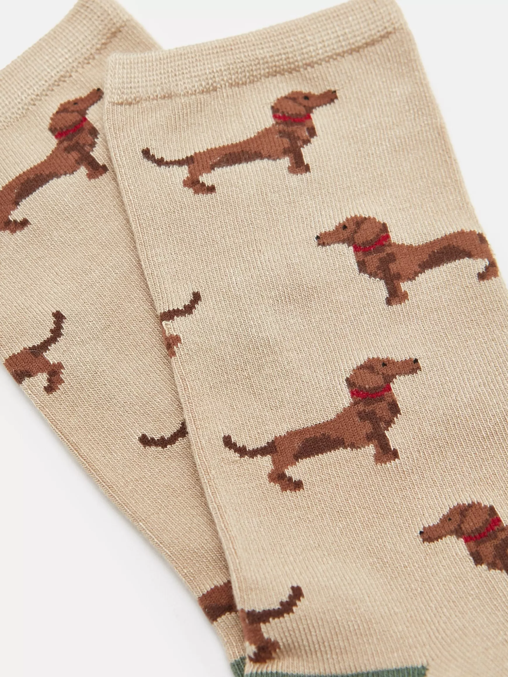 Women's Everyday 2 Pack Socks (size 4-8)^Joules Cheap