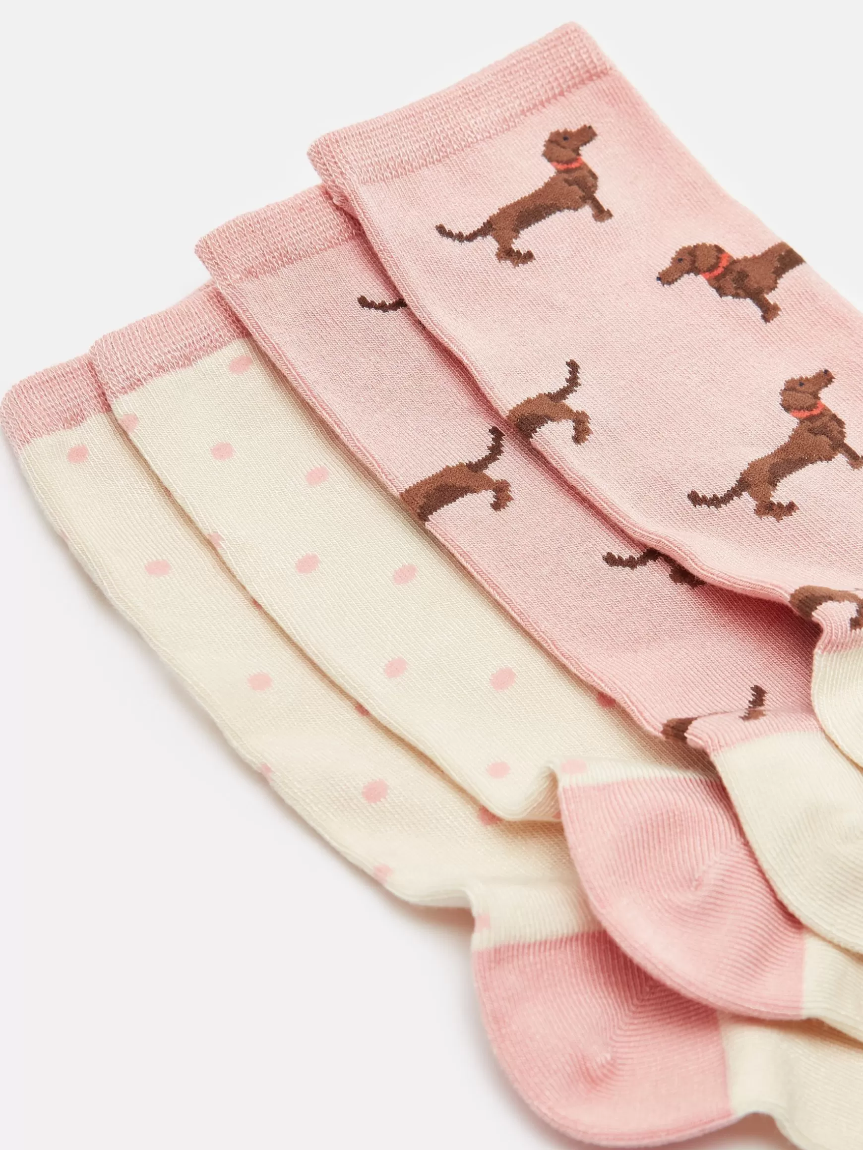 Women's Everyday 2 Pack Socks (size 4-8)^Joules Best