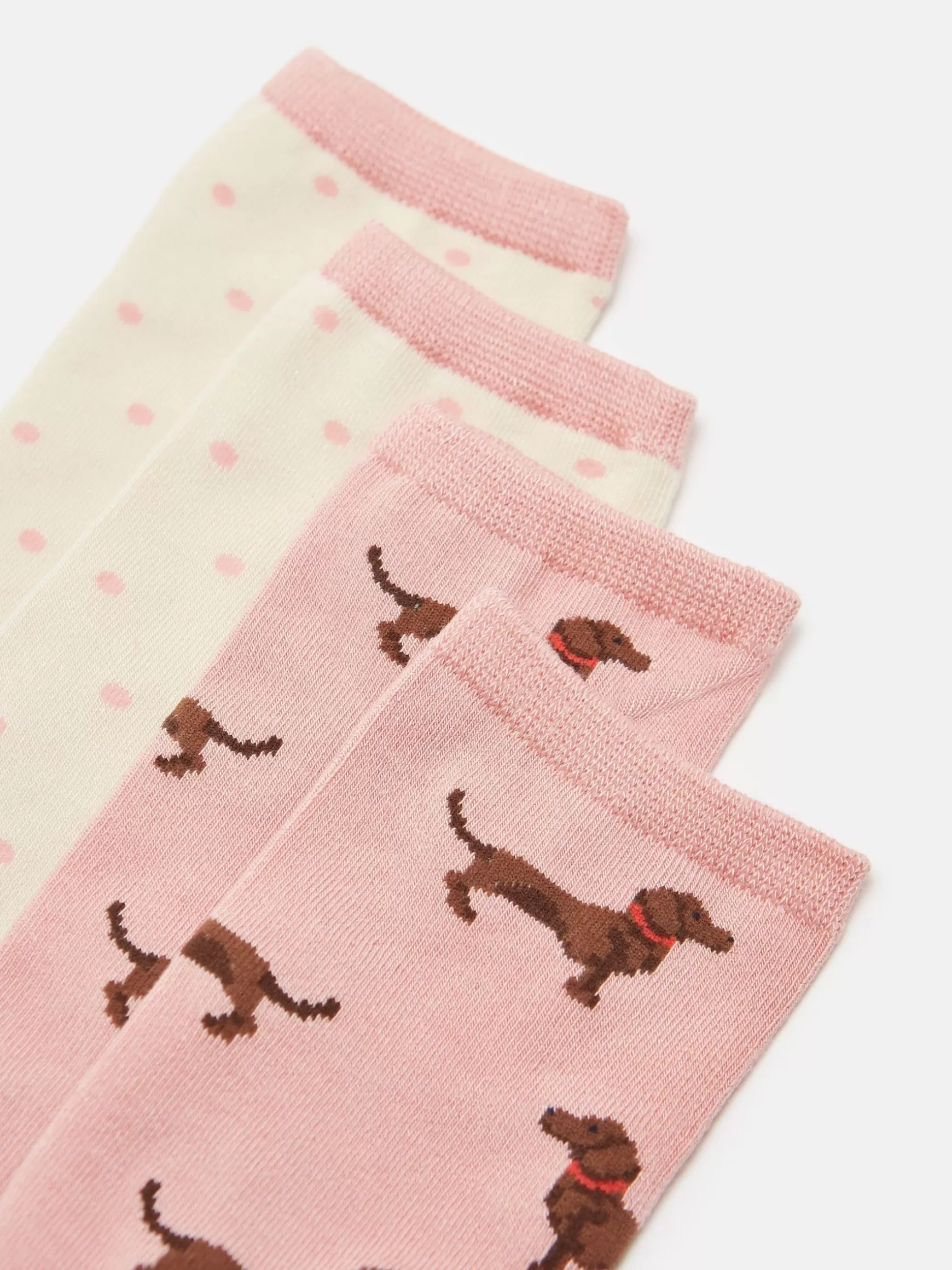 Women's Everyday 2 Pack Socks (size 4-8)^Joules Best